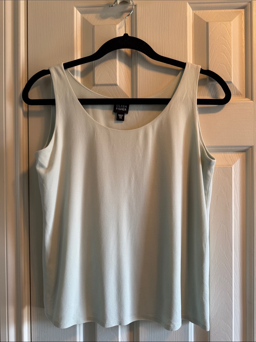 Eileen Fisher double lining silk top